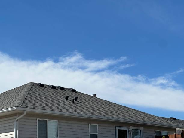 Best Steel Roofing  in Gowanda, NY